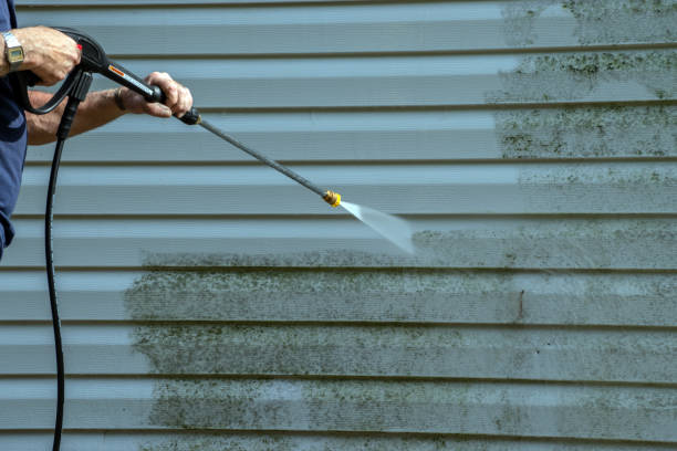 Best Commercial Building Pressure Washing  in Mount Vernon, VA